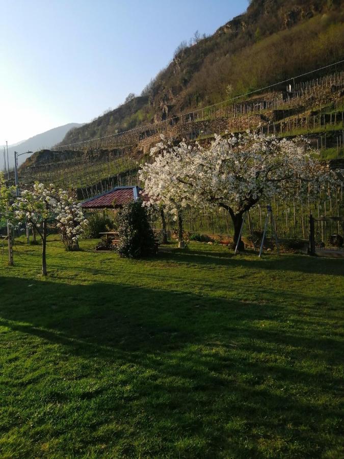 Casa Vacanze La Ca Del Cunfec Sondrio Exteriér fotografie