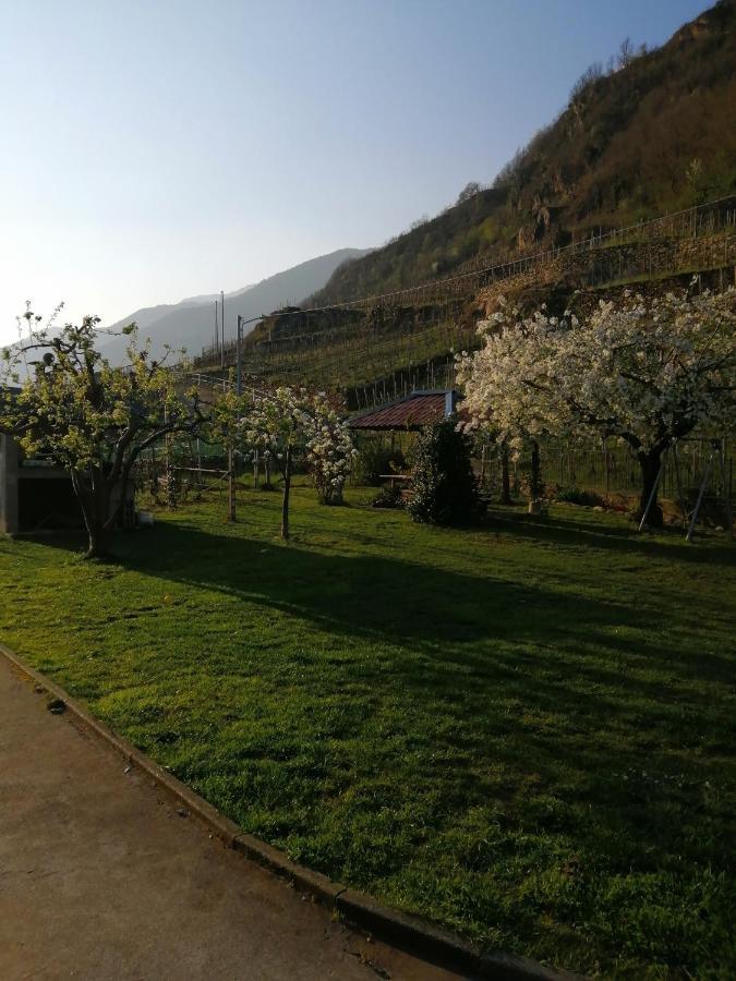 Casa Vacanze La Ca Del Cunfec Sondrio Exteriér fotografie