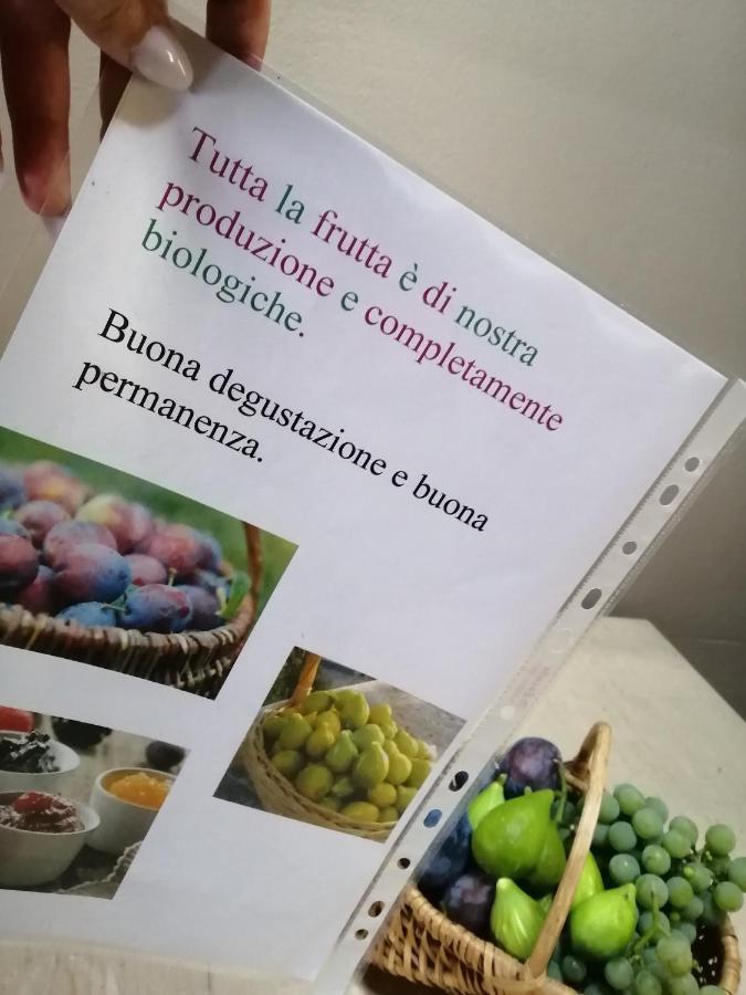 Casa Vacanze La Ca Del Cunfec Sondrio Exteriér fotografie